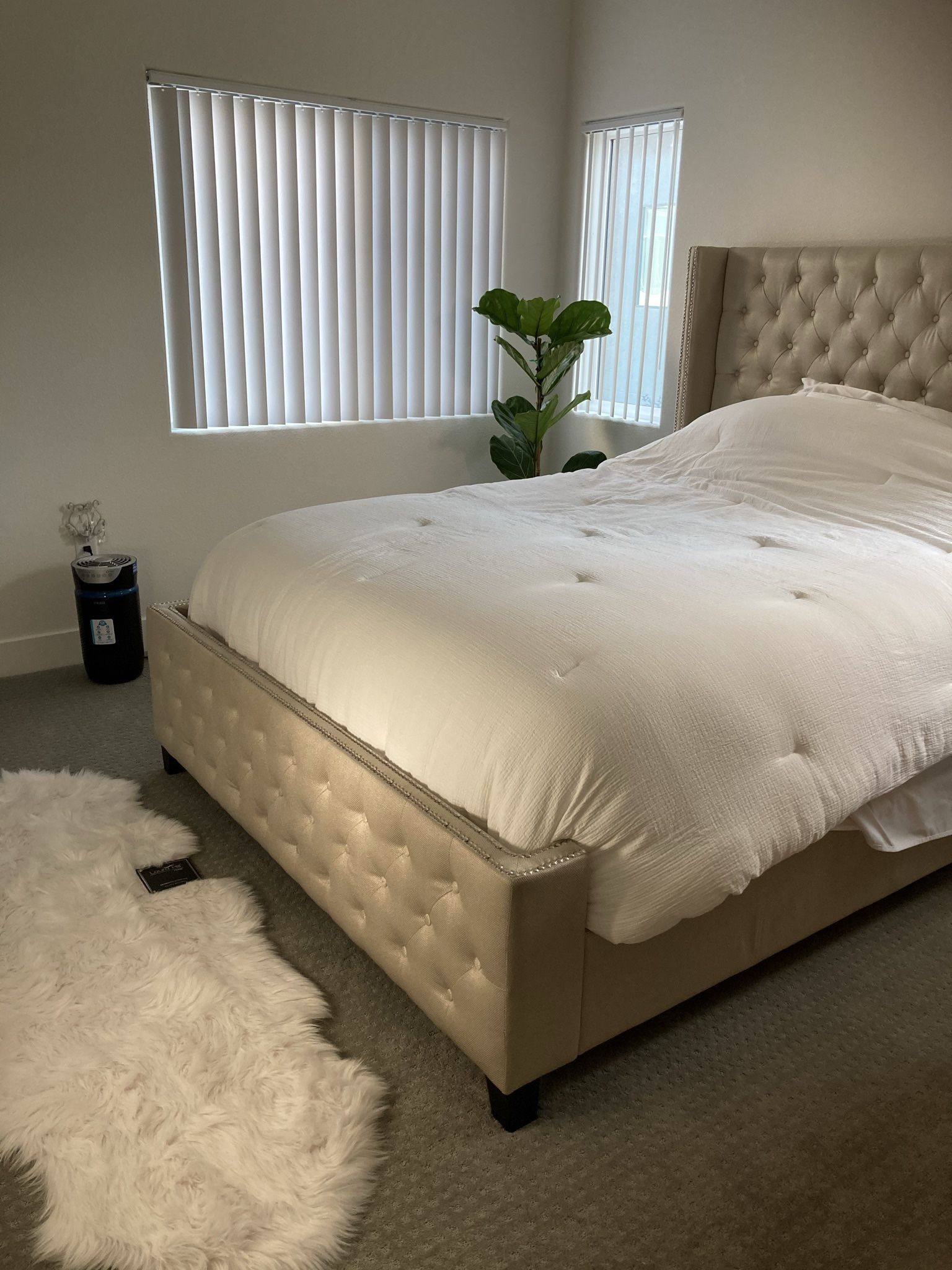 Queen Bed frame And Box Spring