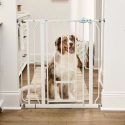 Carlson Pet Gate