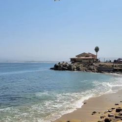 Monterey Bay Aquarium E-Ticket Notice!  Confirm the date and email address. You can pay through the Zelle or Cash in person （In Fresno Only）！ I'll boo