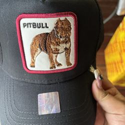 Put Bull Hat 