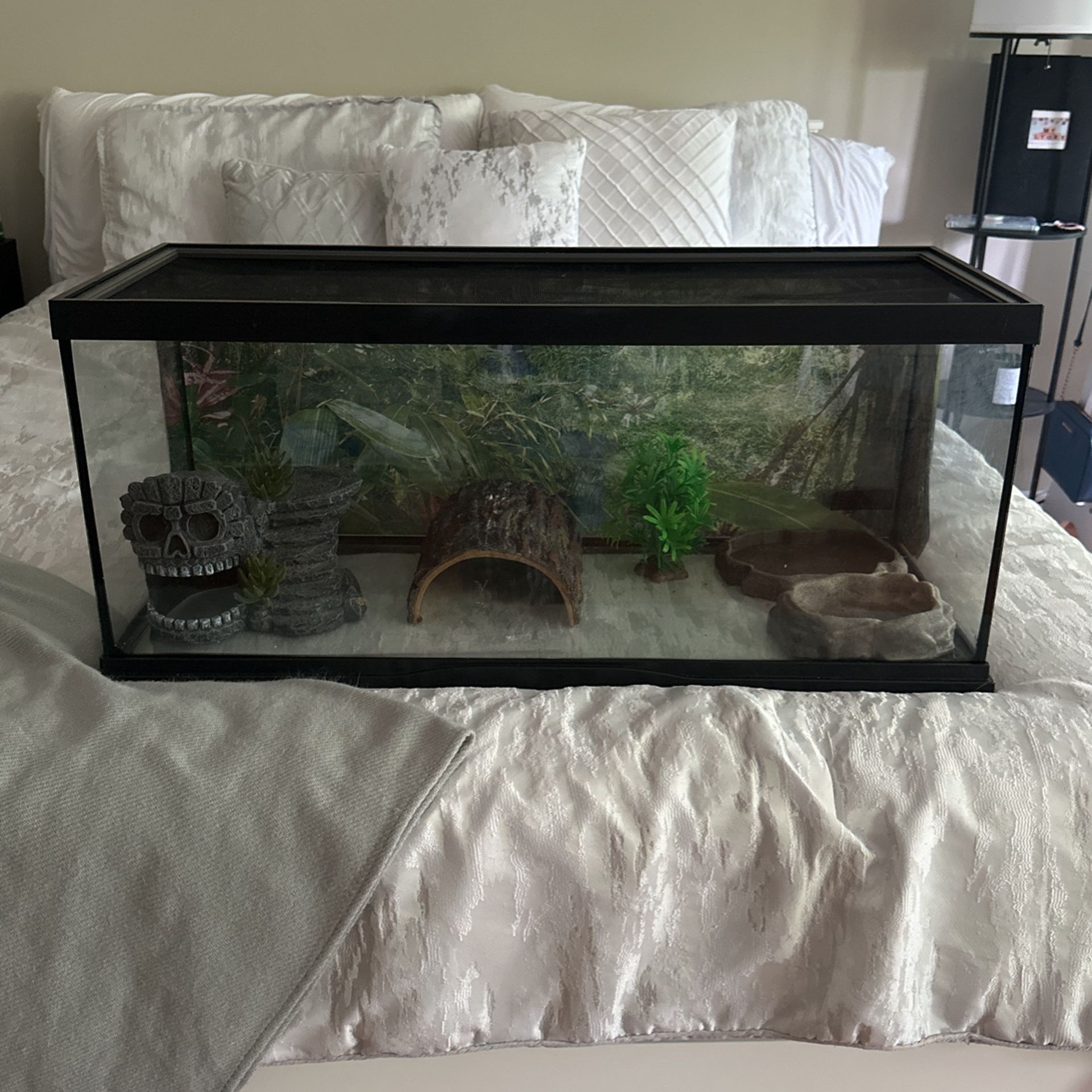 Reptile 20 Gallon tank 