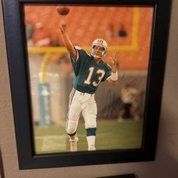 Dan Mariano Autograph 