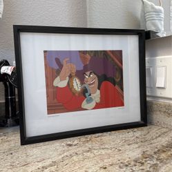 Disney Collectible (CaptainHook -Peterpan1953) Picture