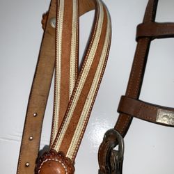 Horse Bridle