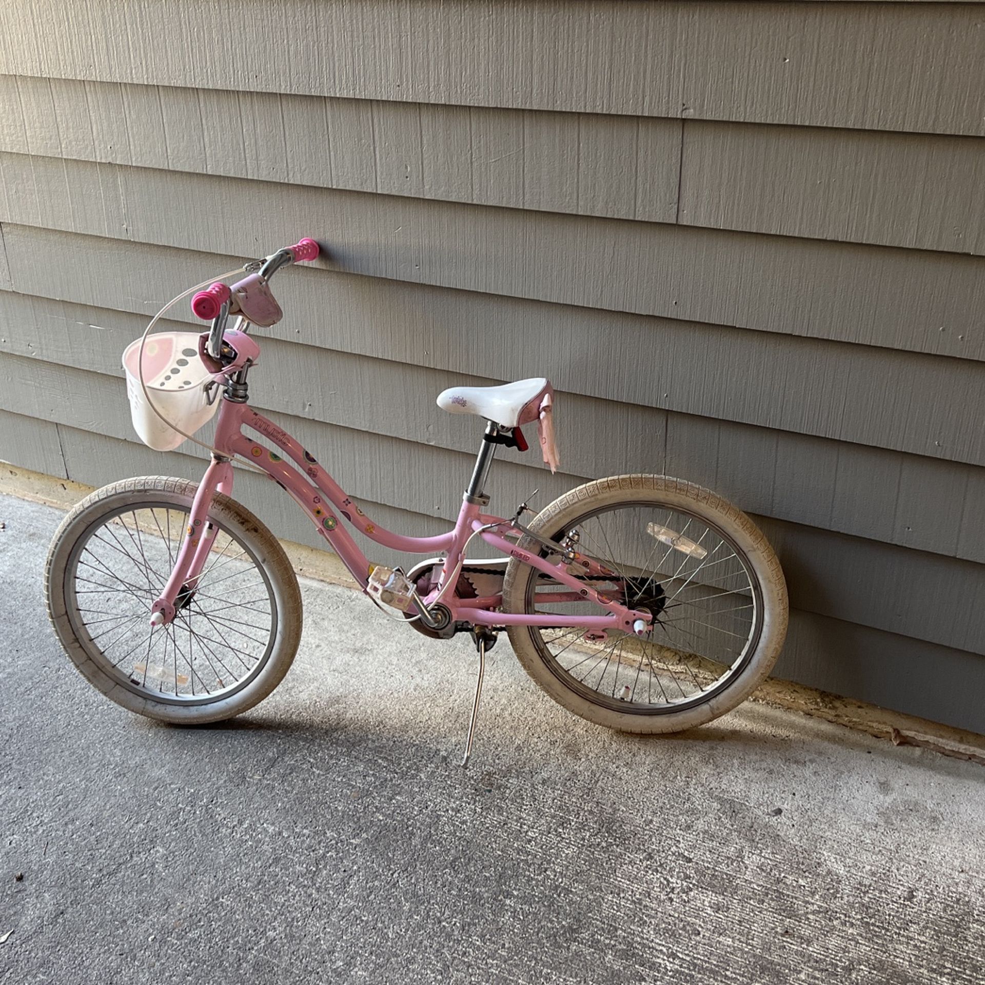 Trek Kids Bike 