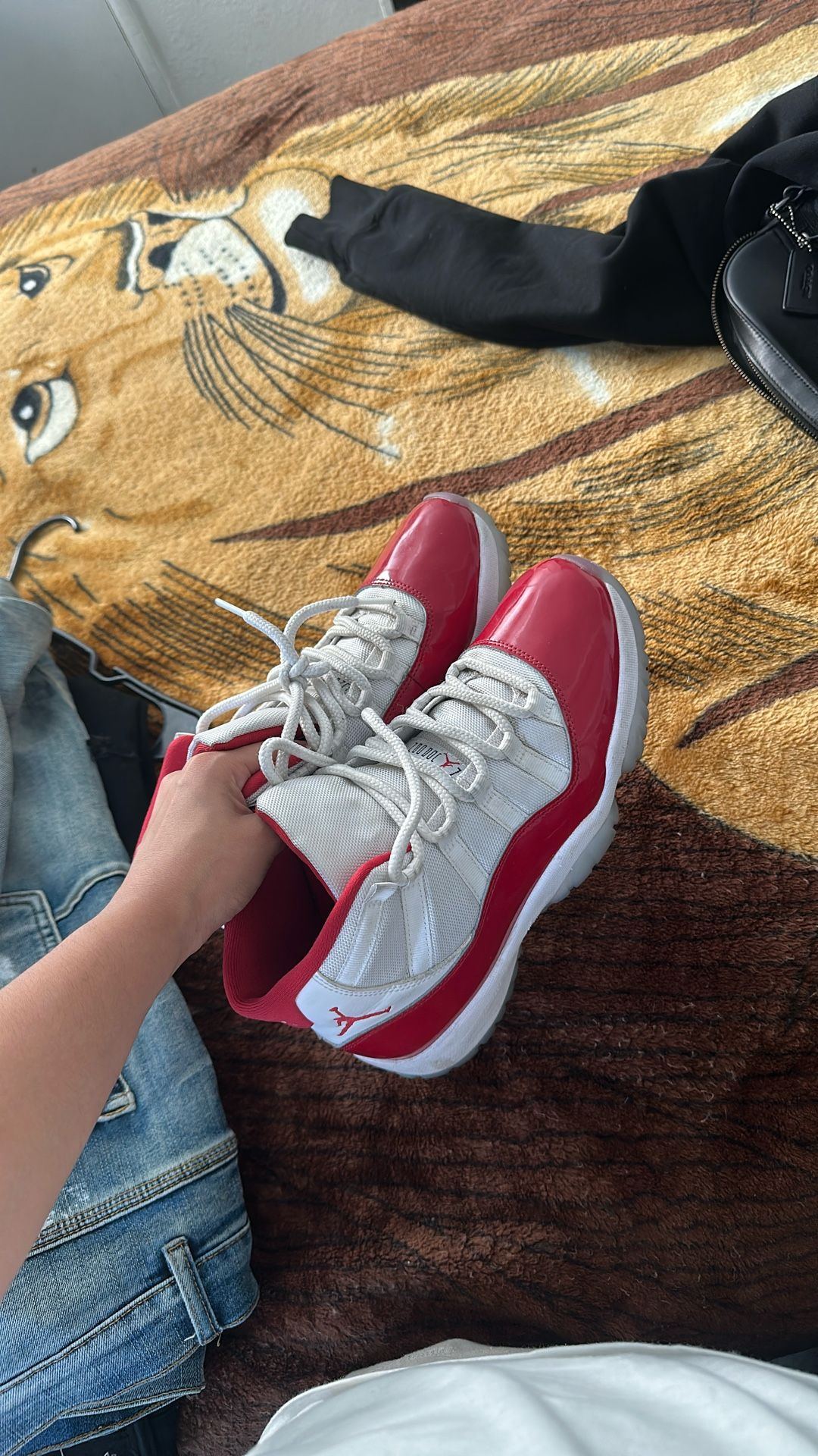 Jordan 11 cherry