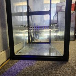 80 Gallon Aquarium,  Converted To Sump With Fiji Cube Setup