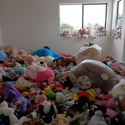 Stuffed Animals