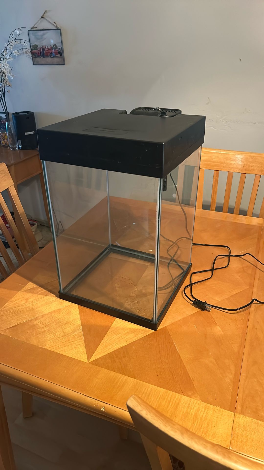 10 Gallon Fish Tank 