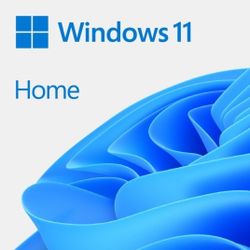 🪟 Windows 11 Home OS Installing Key