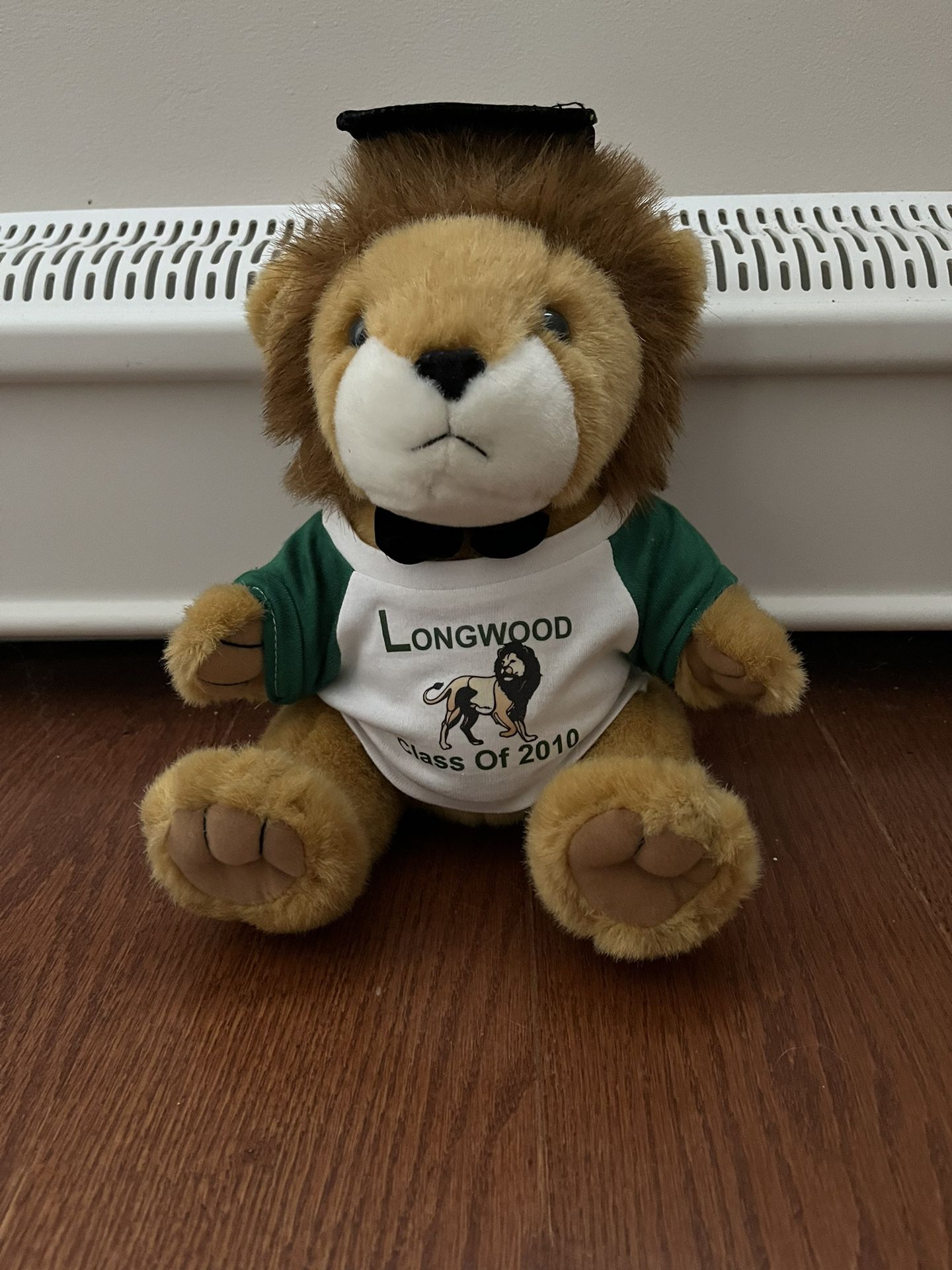 Class of 2010 Longwood graduation teddy bear.