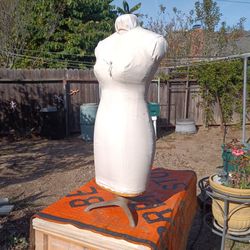 Alteration Female Form 