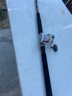 Fishing Rod and Reel Combo