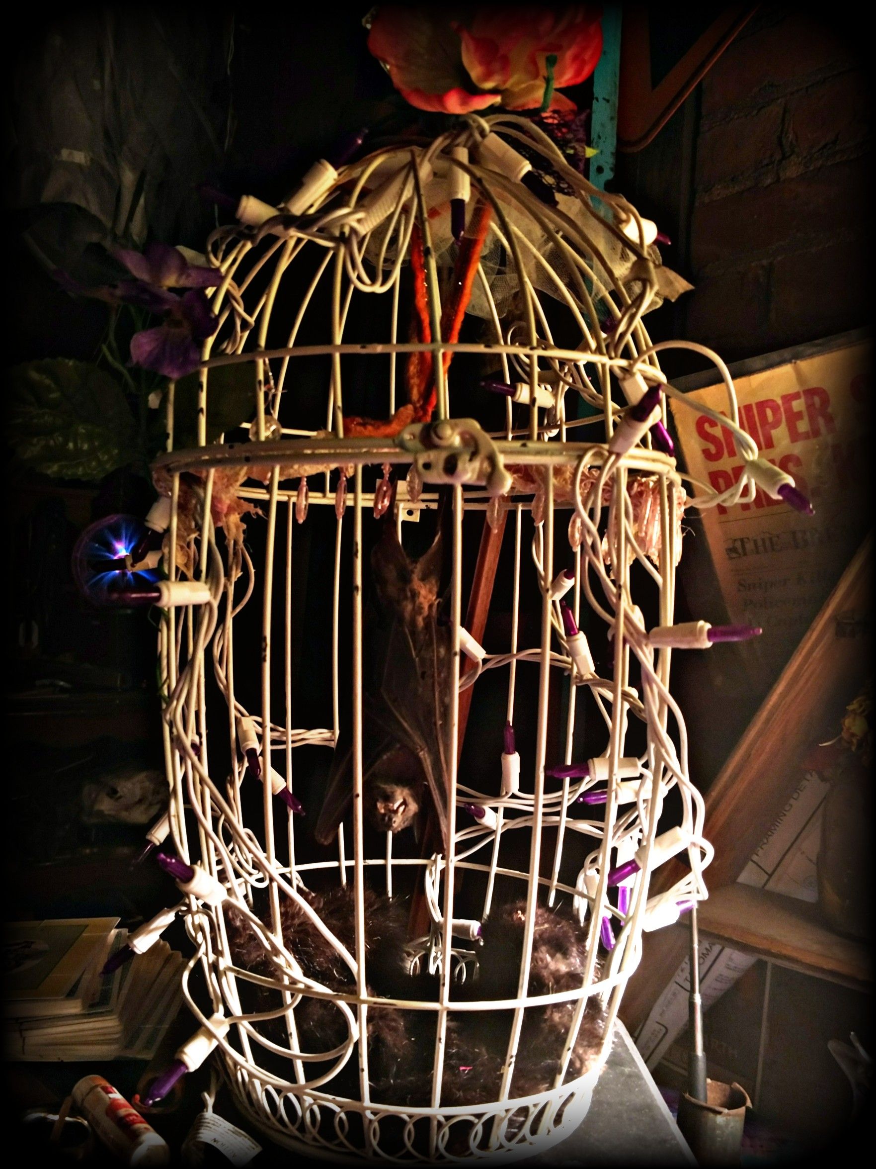 Bat in a cage filled with rage. Curiosities art