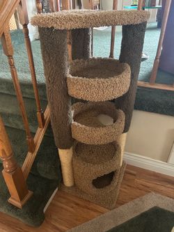 Cat Tree - Great Condition