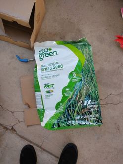 Grass seed
