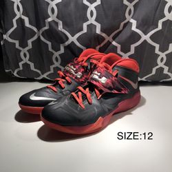 Nike Lebron Soldier VII (12)