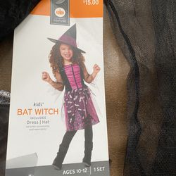 Girls Witch costume size 10/12