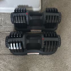 Two Adjustable Dumbbells 