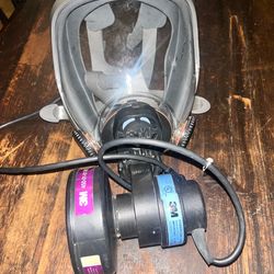 3M Powerflow Face-Mounted Powered Air Purifying Respirator Large
