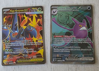 Pokemon cards M heracross & TR crobat