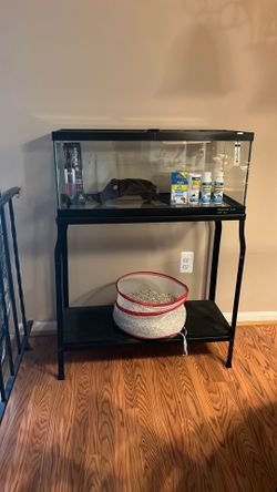 20-gallon aquarium with stand
