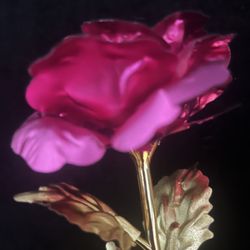 Beautiful Foiled Rose Of Love For You Or Someone On Valentines Day 