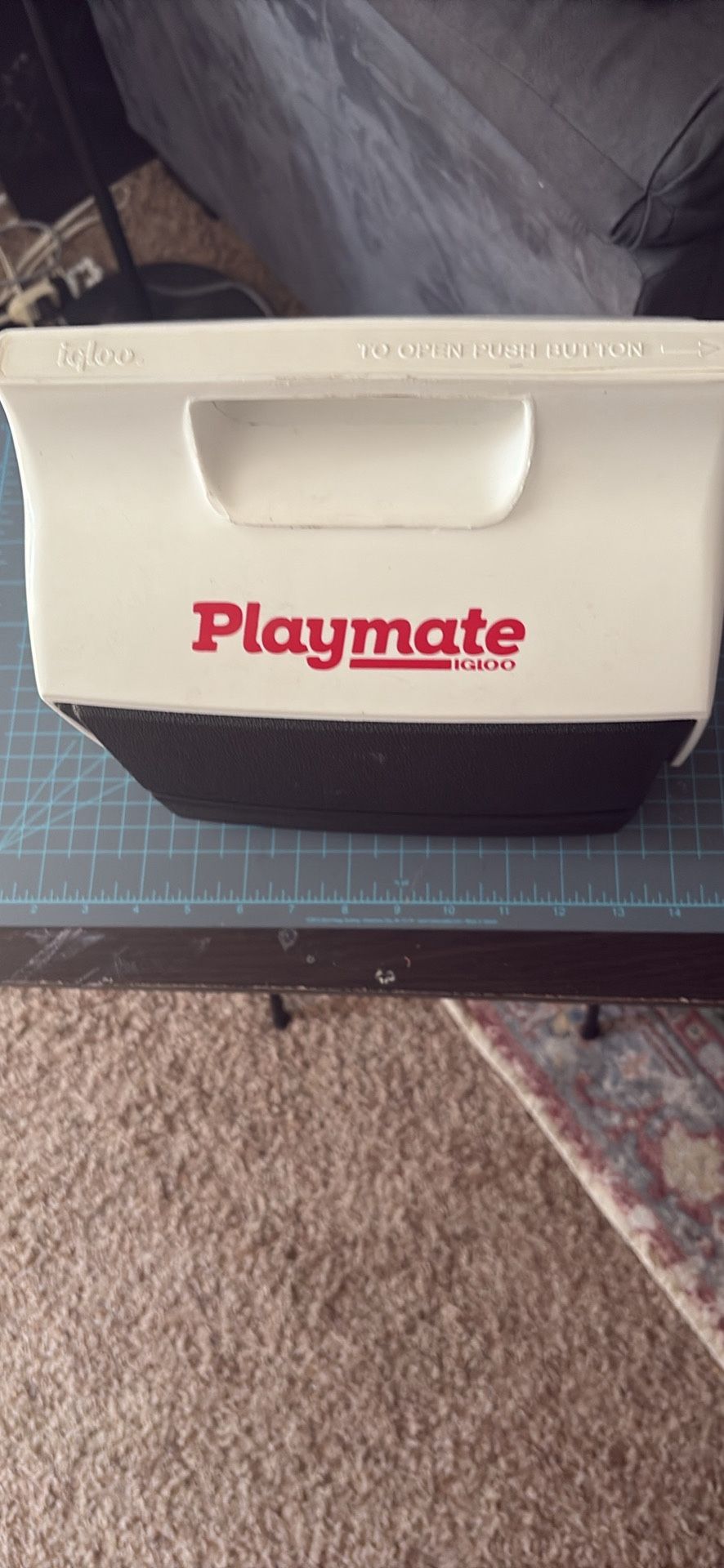 Mini Playmate Igloo Cooler 