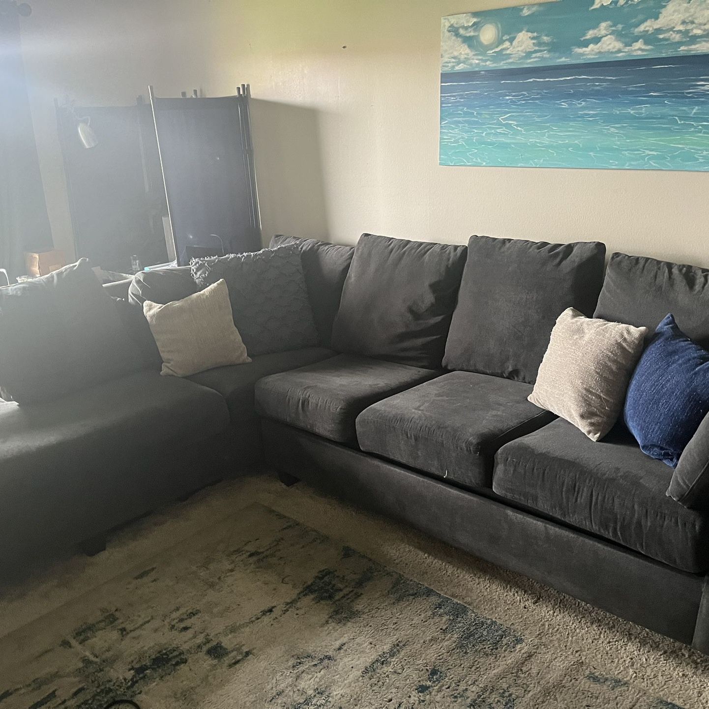 10 Ft L Shaped Couch With Pull Out Bed!