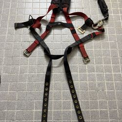Safety Harness
