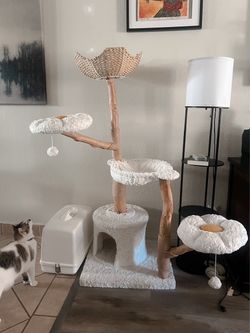 Cat Tower