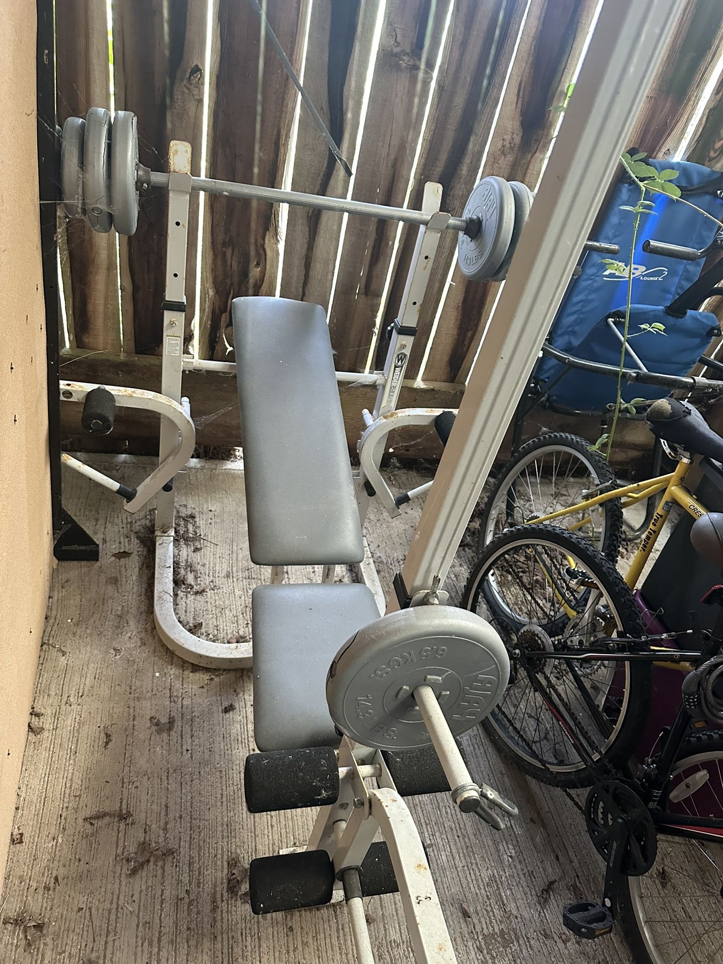 Workout Equipment
