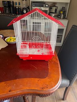 Bird house