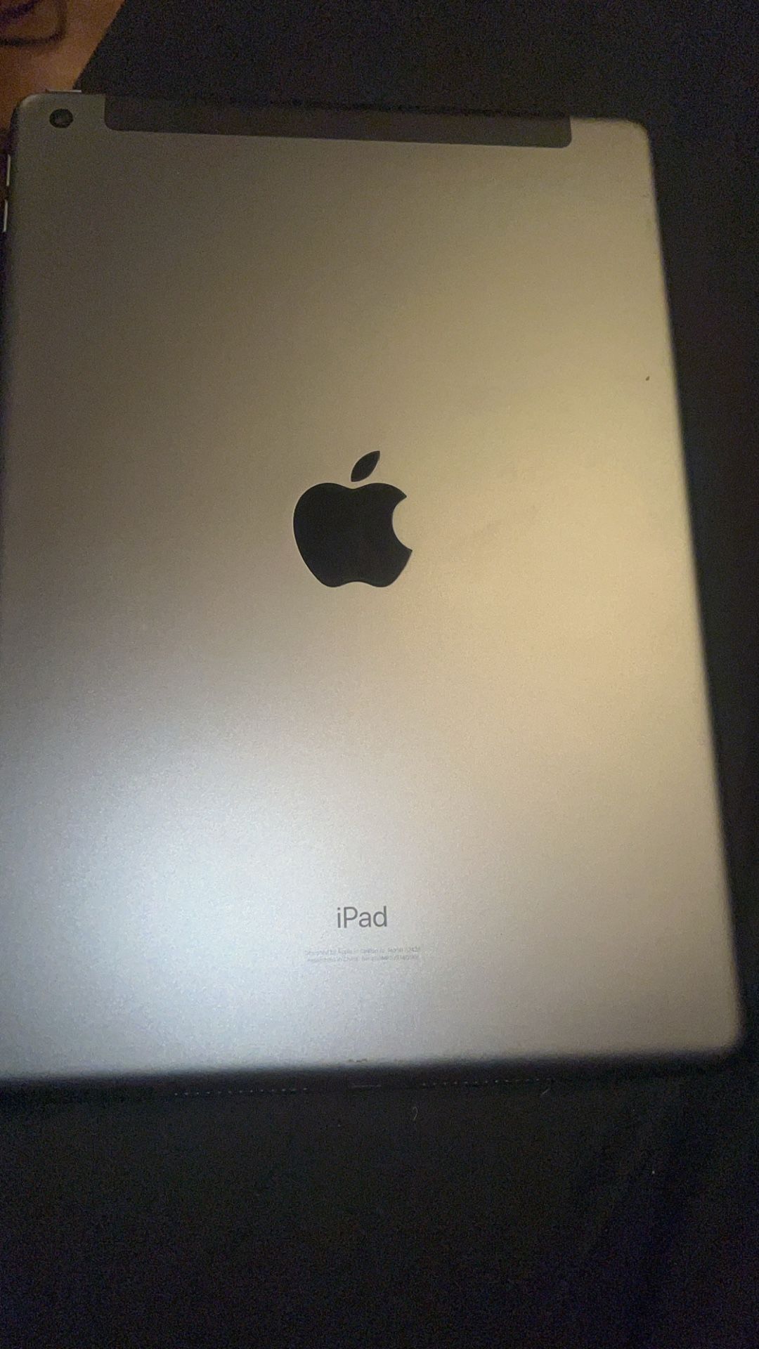 Apple iPad