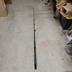 Daiwa Sealine Graphite  Rod