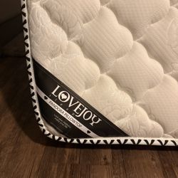 Twin Mattress(72”x40”x9”)