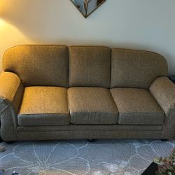 Regular Size Greenish Brown Couch 