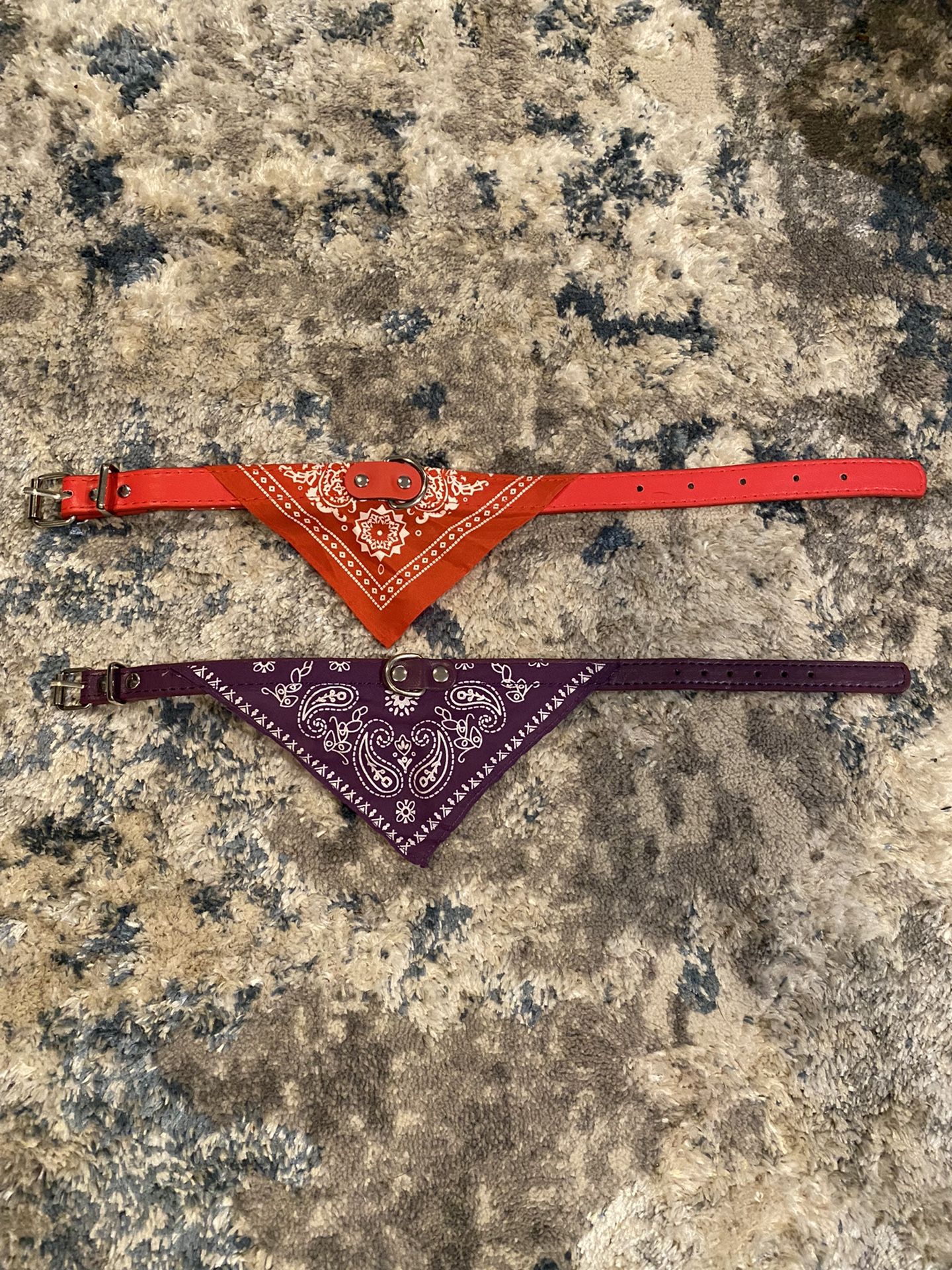 Dog Collar Bundle