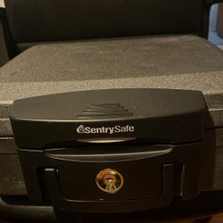 Sentry Safe