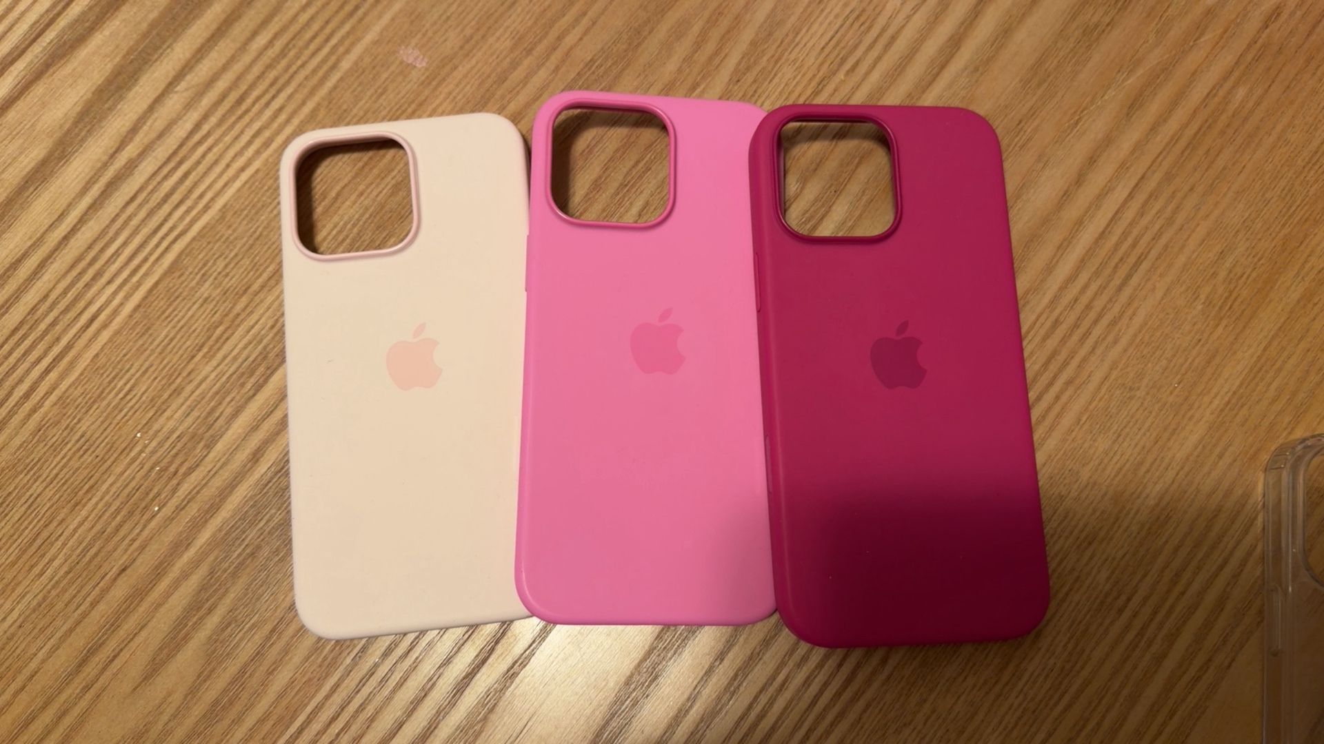 iPhone 16 Pro Max Case