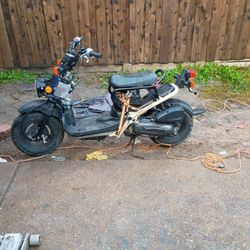 Honda Ruckus