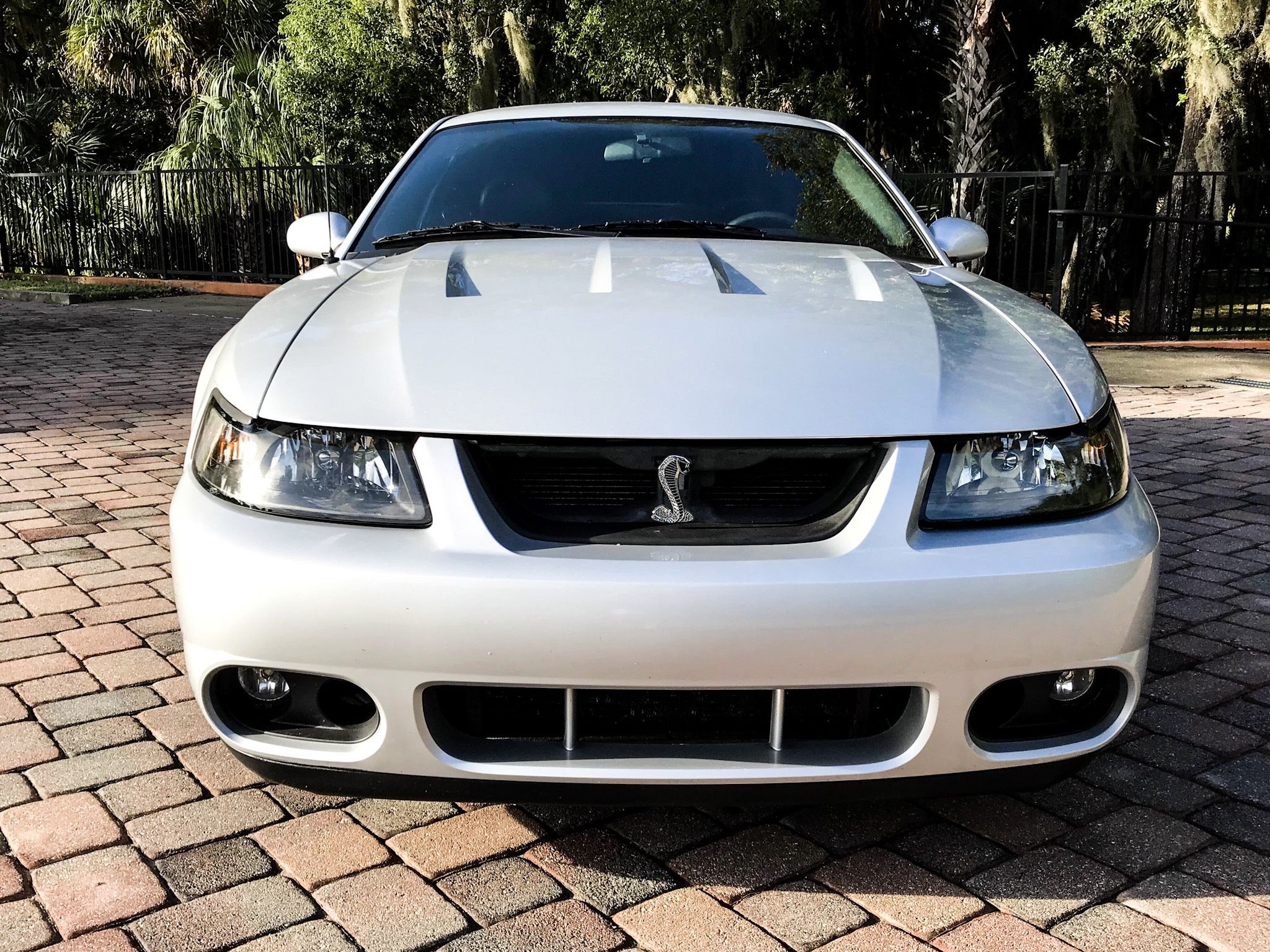 2003 Ford Mustang