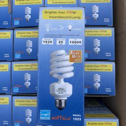 Lightbulb 50 Pack