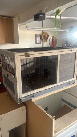 Bunny cage