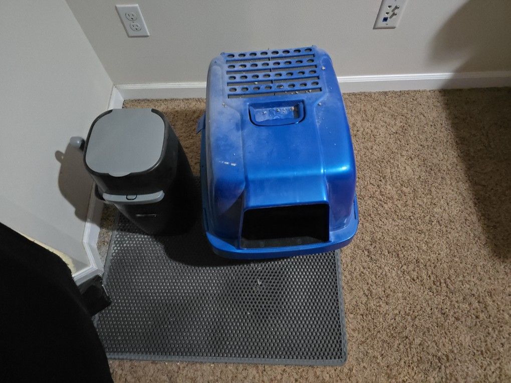 Used Cat Litter Box
