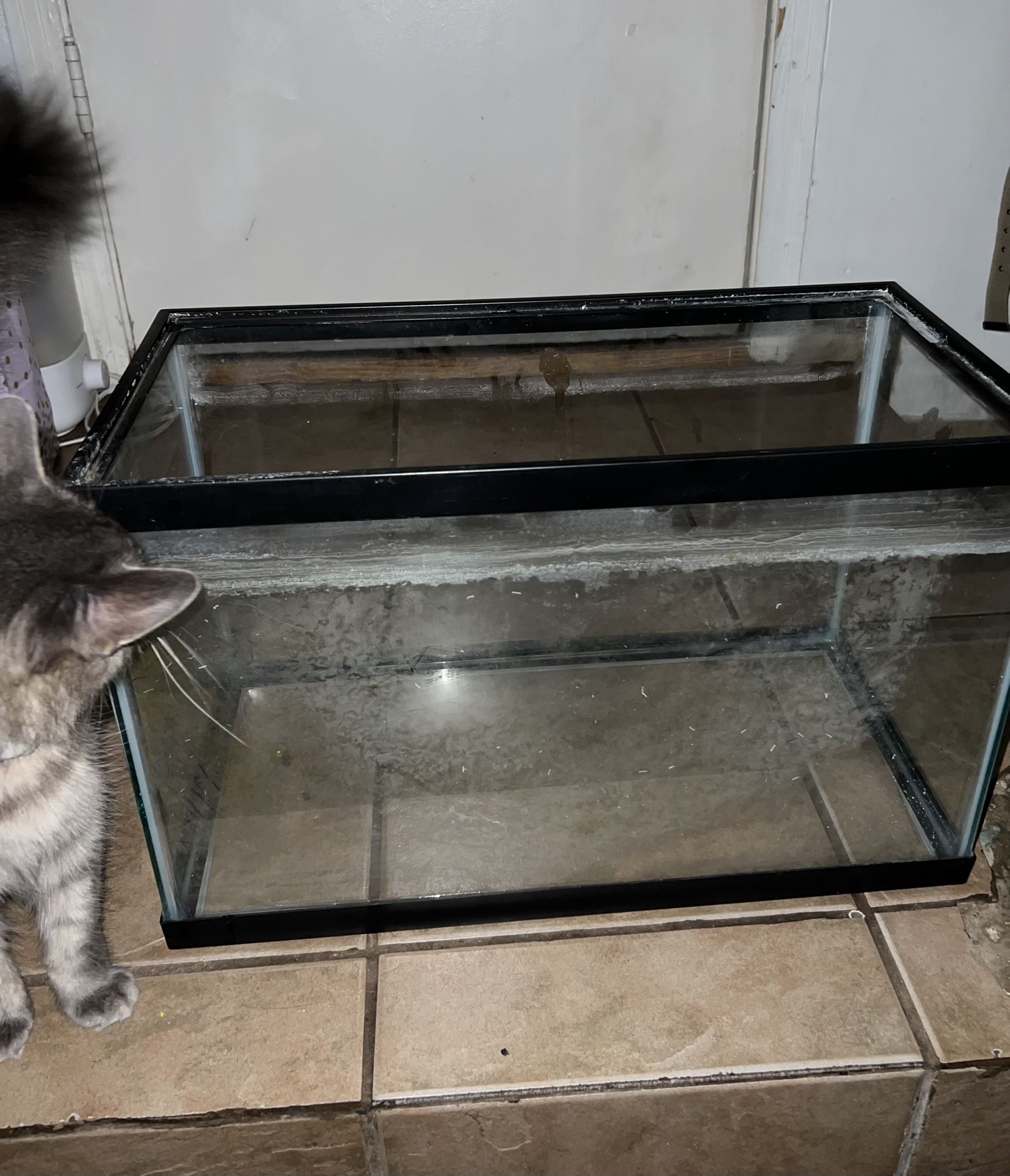 Fish Tank And Decorations