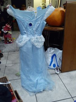 Cinderella costume