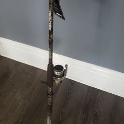 Fishing Rod Pole 
