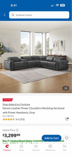 Karson, Aiden and Ivy, parts of sectional couch