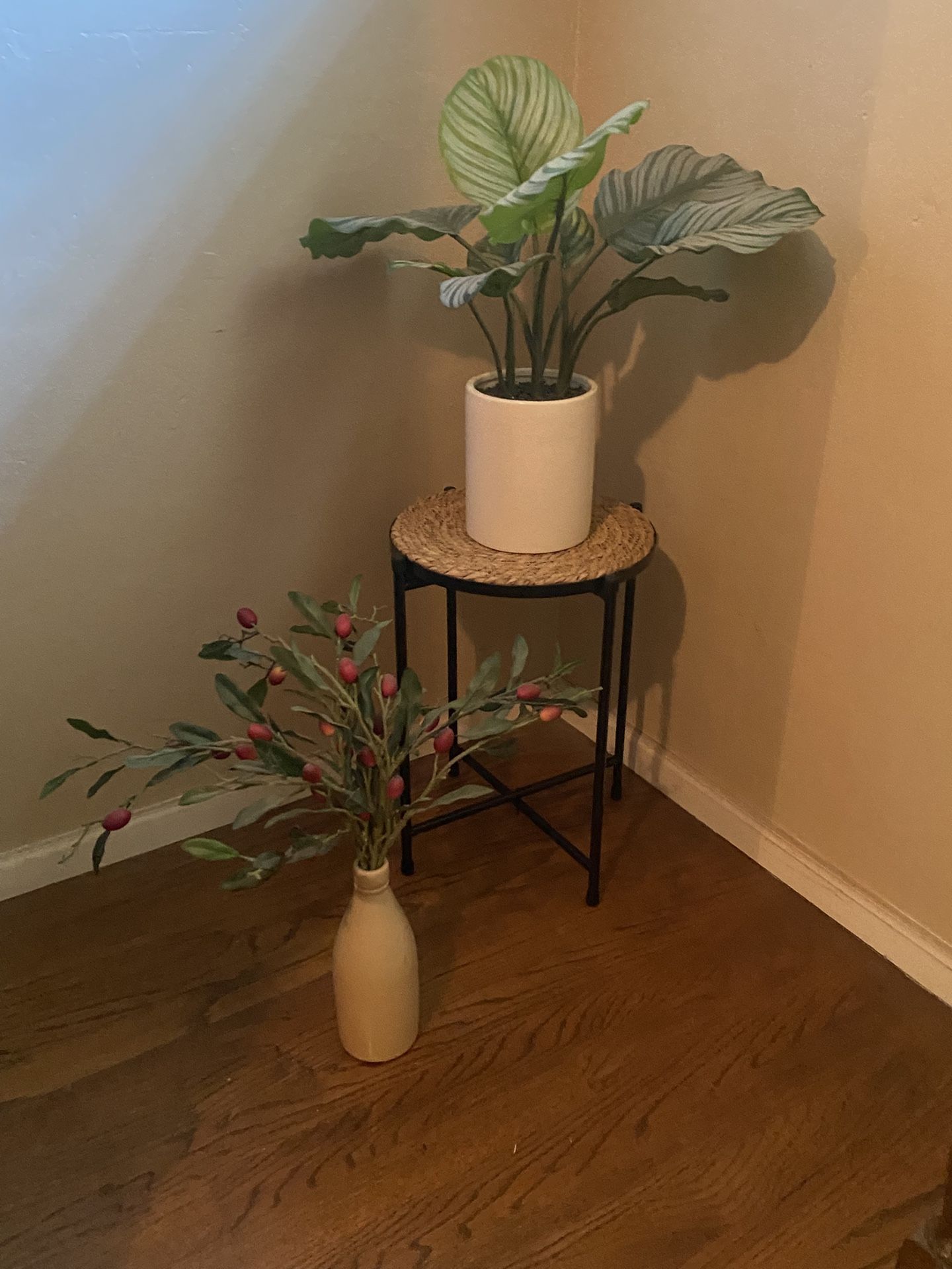 2 Faux plants 🪴